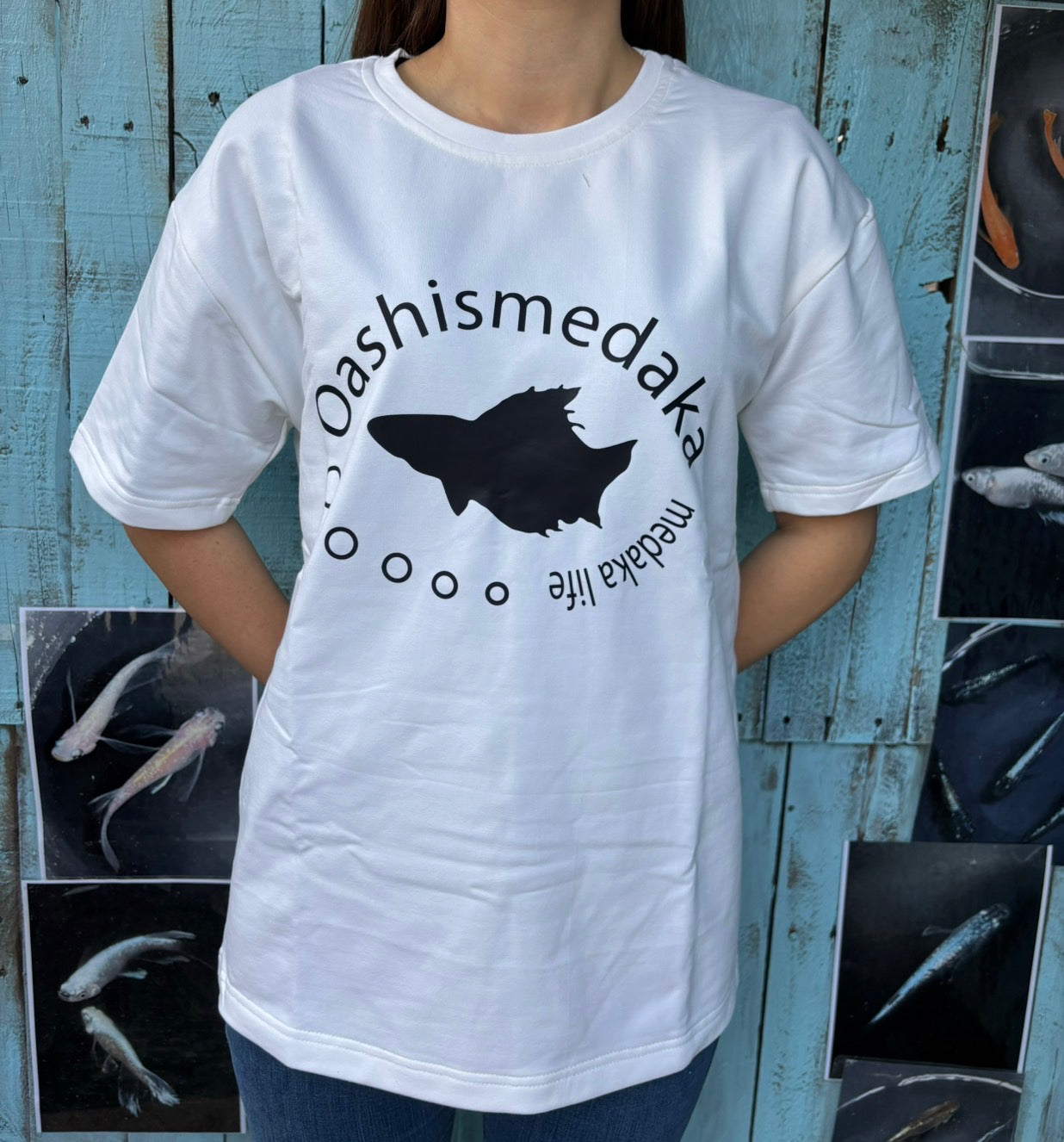 オアシスメダカ Tシャツ