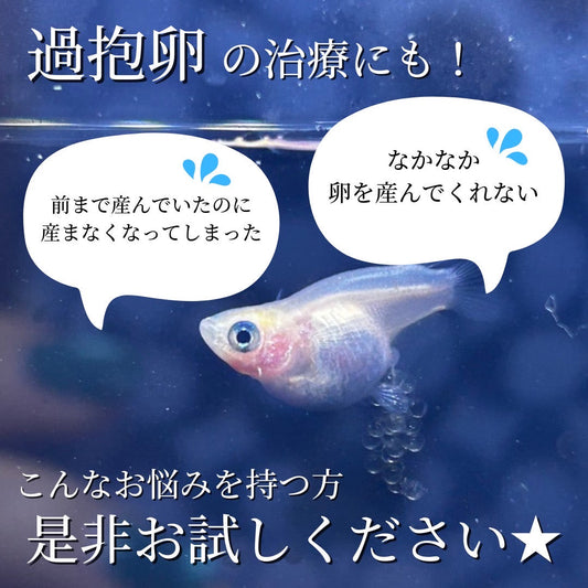 超繁殖促進オアシル⭐︎