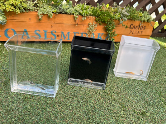 オアシスメダカの横見容器 残り透明のみ