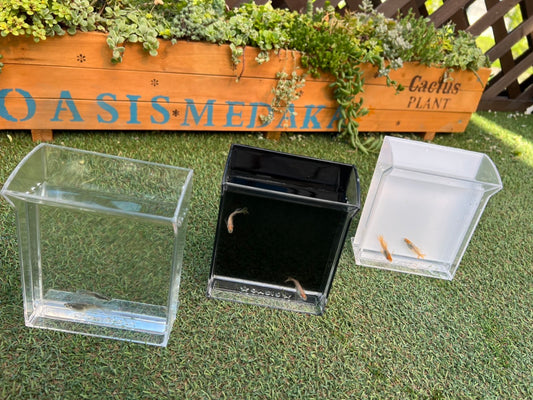 オアシスメダカの横見容器 残り透明のみ